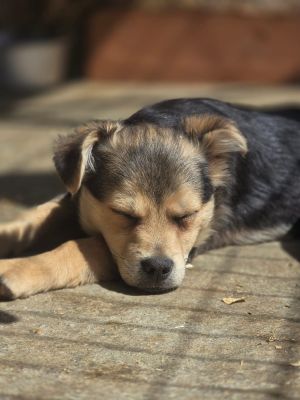 WhatsApp Image 2026 04 07 at 11.47.45