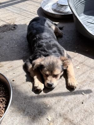 WhatsApp Image 2026 04 07 at 11.47.56 (1)