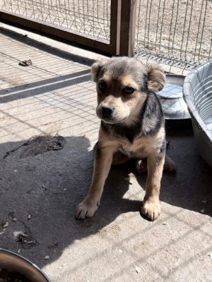 WhatsApp Image 2026 04 07 at 11.47.56