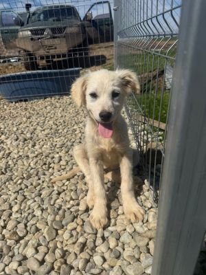 WhatsApp Image 2026 04 07 at 12.25.09 (1)