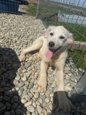 WhatsApp Image 2026 04 07 at 12.25.10 (1)