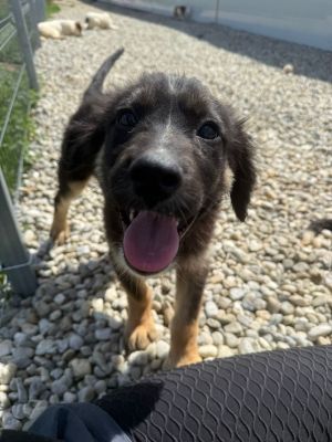 WhatsApp Image 2026 04 07 at 12.27.20