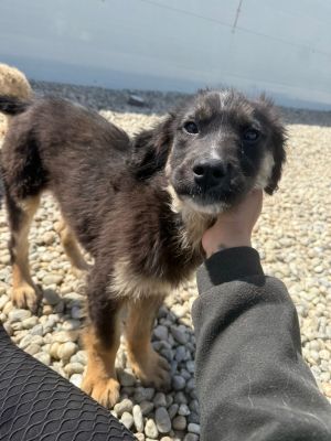 WhatsApp Image 2026 04 07 at 12.27.22