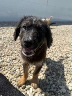 WhatsApp Image 2026 04 07 at 12.27.23 (1)