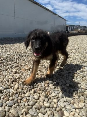 WhatsApp Image 2026 04 07 at 12.27.24 (1)