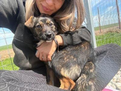 WhatsApp Image 2026 04 07 at 12.33.09