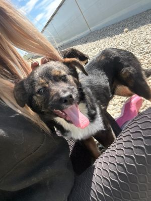 WhatsApp Image 2026 04 07 at 12.33.10 (1)