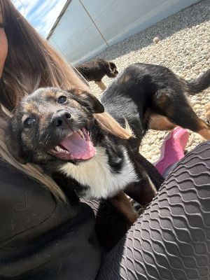 WhatsApp Image 2026 04 07 at 12.33.10