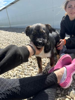 WhatsApp Image 2026 04 07 at 12.33.11 (1)