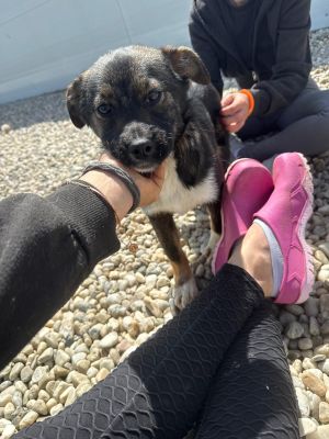 WhatsApp Image 2026 04 07 at 12.33.11 (2)