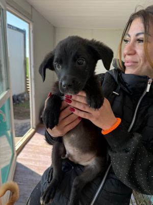 WhatsApp Image 2026 04 08 at 10.50.48 (1)