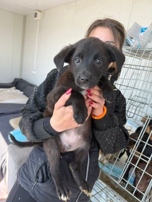 WhatsApp Image 2026 04 08 at 10.50.49