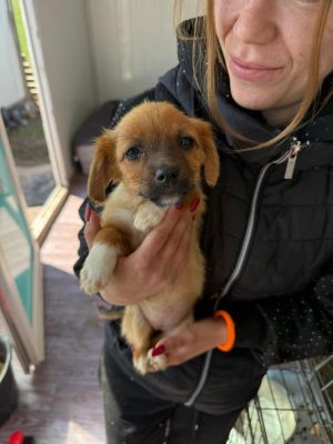 WhatsApp Image 2026 04 08 at 10.53.42