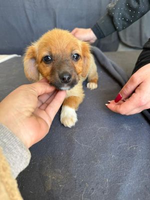 WhatsApp Image 2026 04 08 at 10.53.442