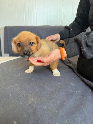 WhatsApp Image 2026 04 08 at 10.53.451