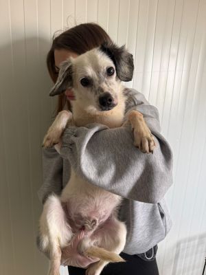 WhatsApp Image 2026 04 13 at 11.42.52