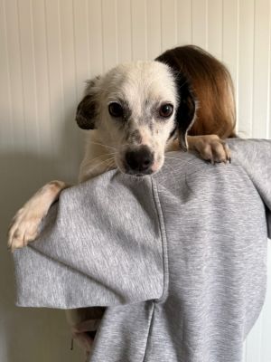 WhatsApp Image 2026 04 13 at 11.43.212