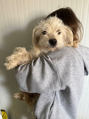 WhatsApp Image 2026 04 13 at 11.44.59