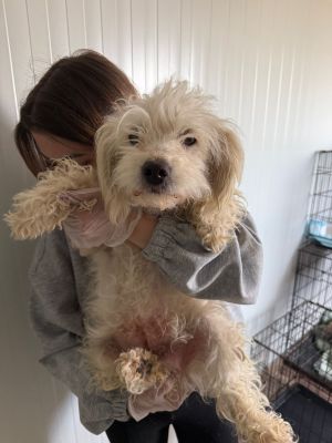 WhatsApp Image 2026 04 13 at 11.45.00