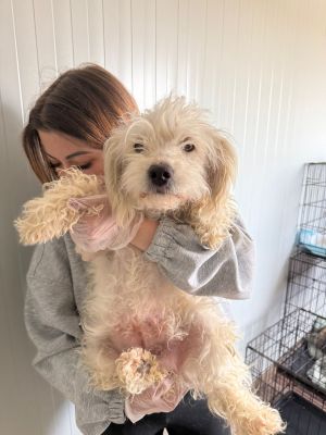 WhatsApp Image 2026 04 13 at 11.45.11 (1)