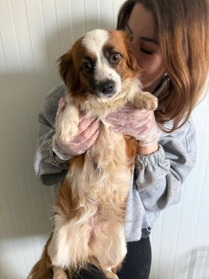 WhatsApp Image 2026 04 13 at 11.47.17 (1)