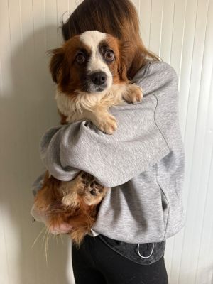 WhatsApp Image 2026 04 13 at 11.47.17