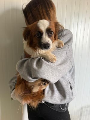 WhatsApp Image 2026 04 13 at 11.47.18 (2)