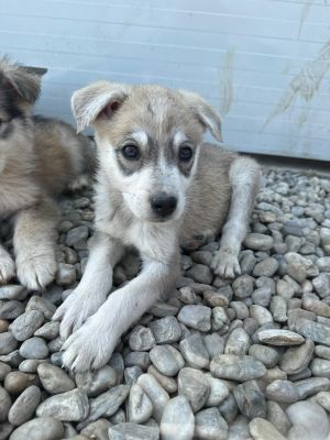 WhatsApp Image 2026 04 17 at 11.19.31 (1)