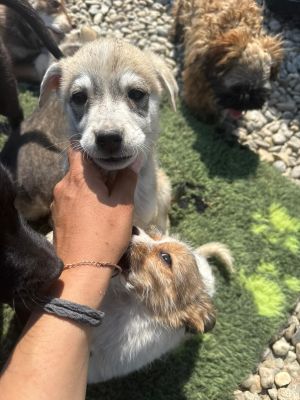 WhatsApp Image 2026 04 17 at 11.19.33