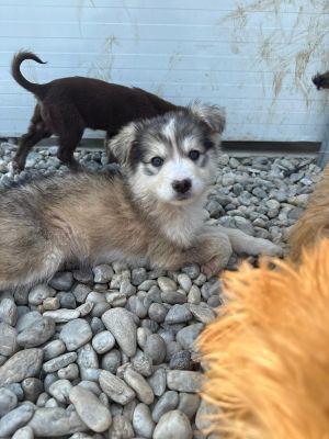 WhatsApp Image 2026 04 17 at 11.22.37 (1)