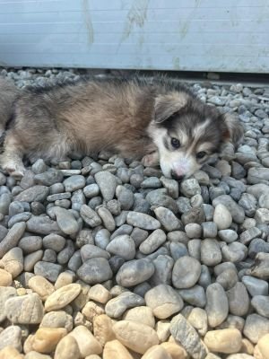 WhatsApp Image 2026 04 17 at 11.22.37 (2)