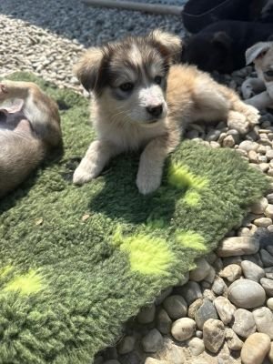 WhatsApp Image 2026 04 17 at 11.22.37 (3)