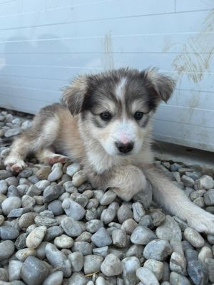 WhatsApp Image 2026 04 17 at 11.22.38 (2)