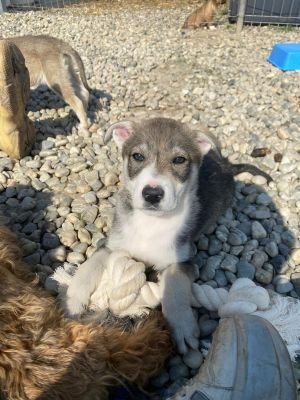 WhatsApp Image 2026 04 17 at 11.25.05