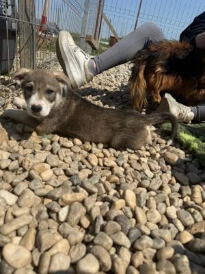 WhatsApp Image 2026 04 17 at 11.25.06