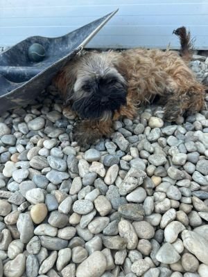 WhatsApp Image 2026 04 17 at 11.44.47 (2)