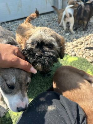 WhatsApp Image 2026 04 17 at 11.44.47 (3)