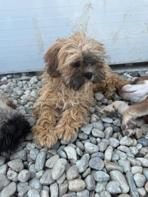 WhatsApp Image 2026 04 17 at 11.46.491