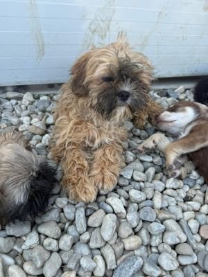 WhatsApp Image 2026 04 17 at 11.46.50