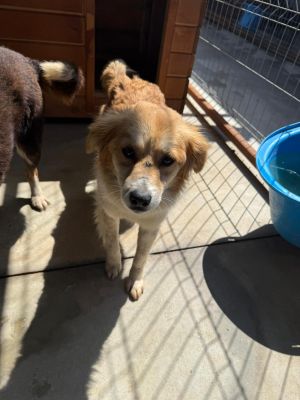 WhatsApp Image 2026 04 18 at 05.57.21 (1)