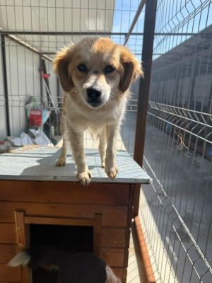 WhatsApp Image 2026 04 18 at 05.57.21