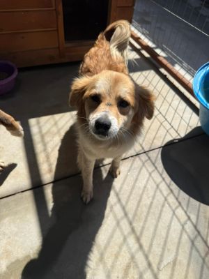 WhatsApp Image 2026 04 18 at 05.57.221