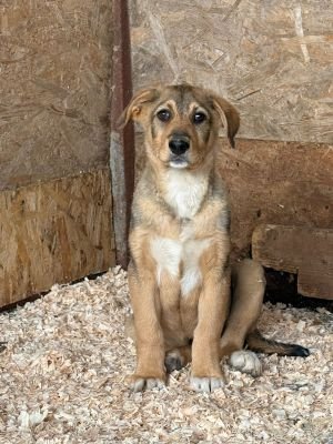 WhatsApp Image 2026 04 21 at 17.42.40 (1)