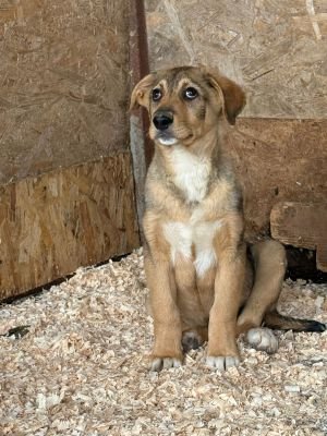 WhatsApp Image 2026 04 21 at 17.42.41