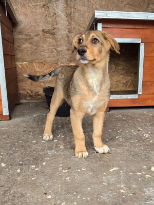 WhatsApp Image 2026 04 21 at 17.42.58