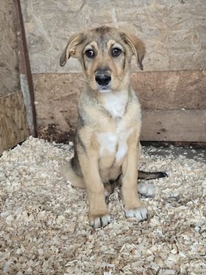 WhatsApp Image 2026 04 21 at 17.43.00 (2)