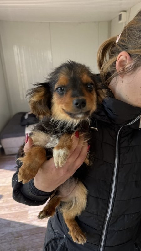 Aae7b6e9 b43d 4489 bfc1 f7cfc4c992e2