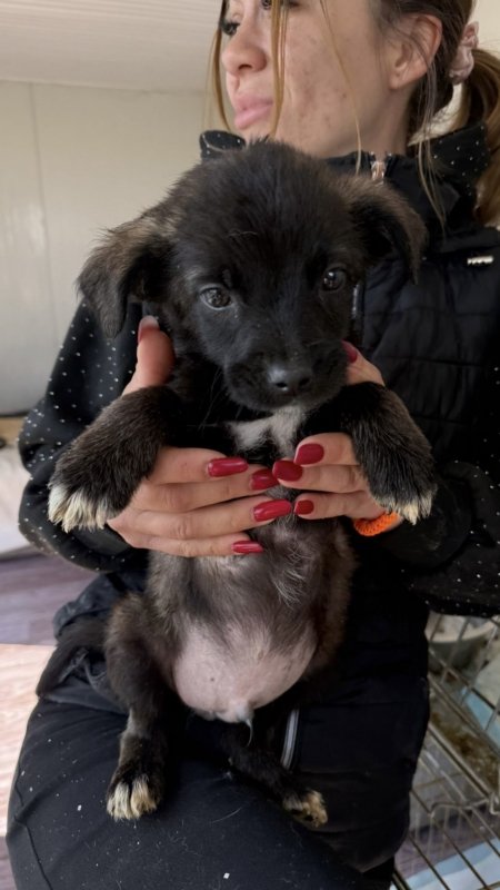 Cc4bcac0 51a8 49e0 a507 11d9eb4506f7