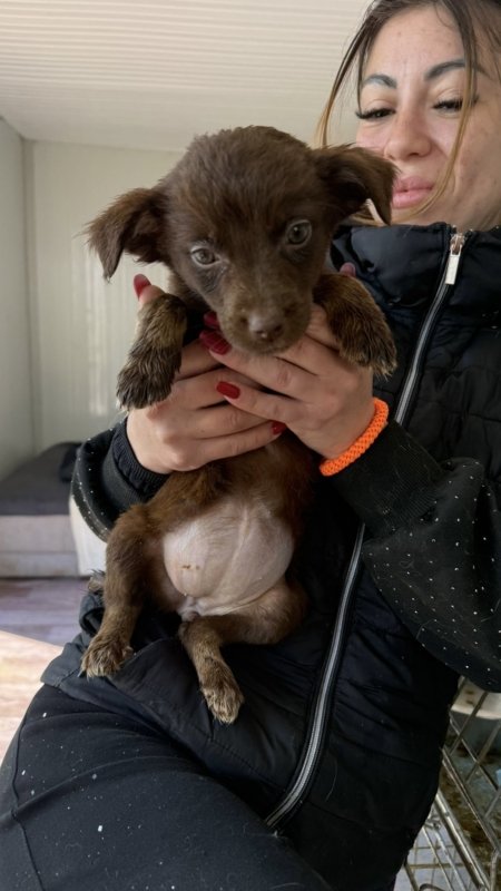 E9adcd5a 2c62 4951 ab7c 558d81c26c55