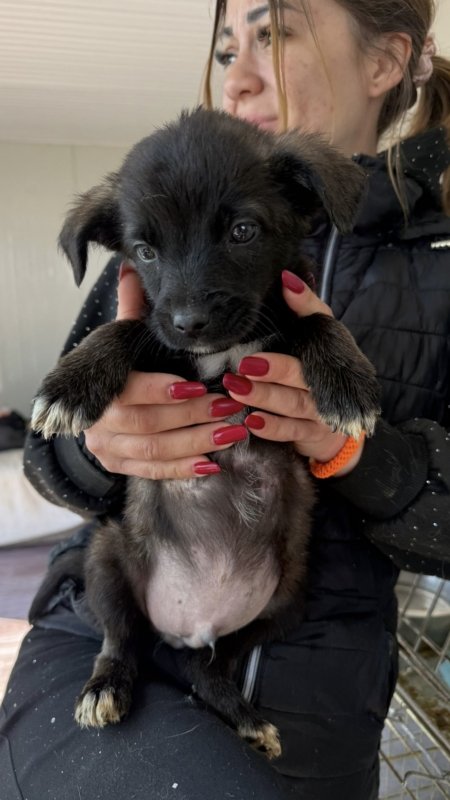 F8cd651c f440 41c8 aa14 dc5b7d4d8d2c